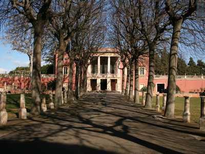 Sulla destra troviamo villa Meo Evoli, finita di costruire nel 1792 da Vito Giuseppe Martinelli. Il viale centrale, che termina davanti alla maestosa facciata formata da due portici sovrapposti, � costeggiato da minute colonnine greco-romane 